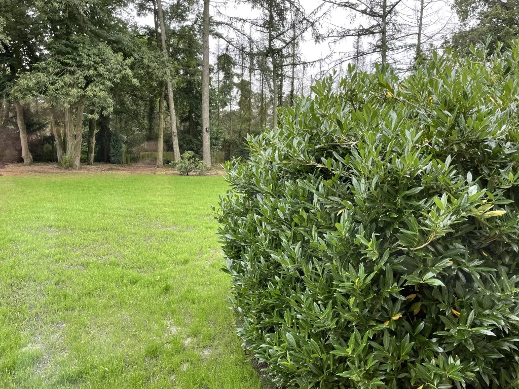 Foto van de Appartement gelegen aan de Dokter Poelsstraat in Schinveld