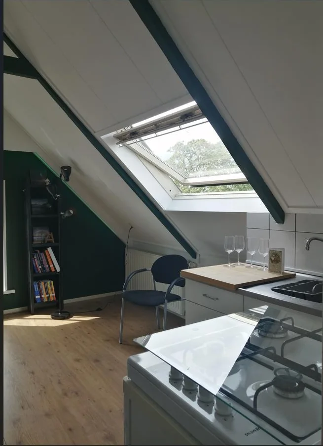 Foto van de Kamer gelegen aan de Eerste Hunzestraat in Groningen
