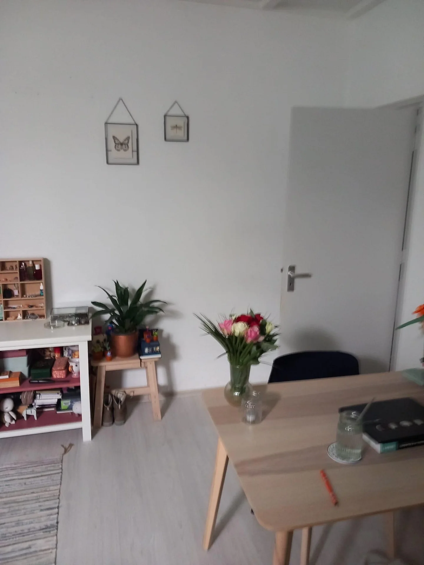 Foto van de Kamer gelegen aan de Oranjeboomstraat in Breda