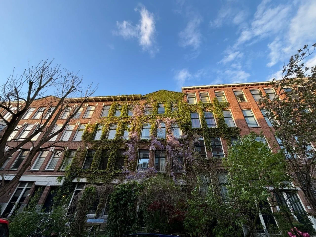 Foto van de Kamer gelegen aan de Van Weelstraat in Rotterdam