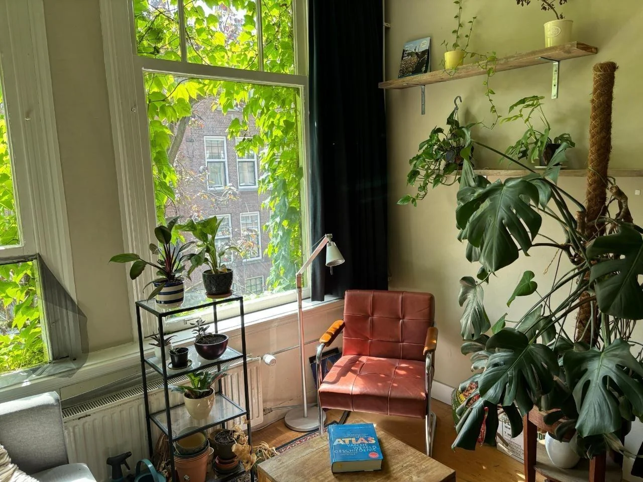 Foto van de Kamer gelegen aan de Van Weelstraat in Rotterdam