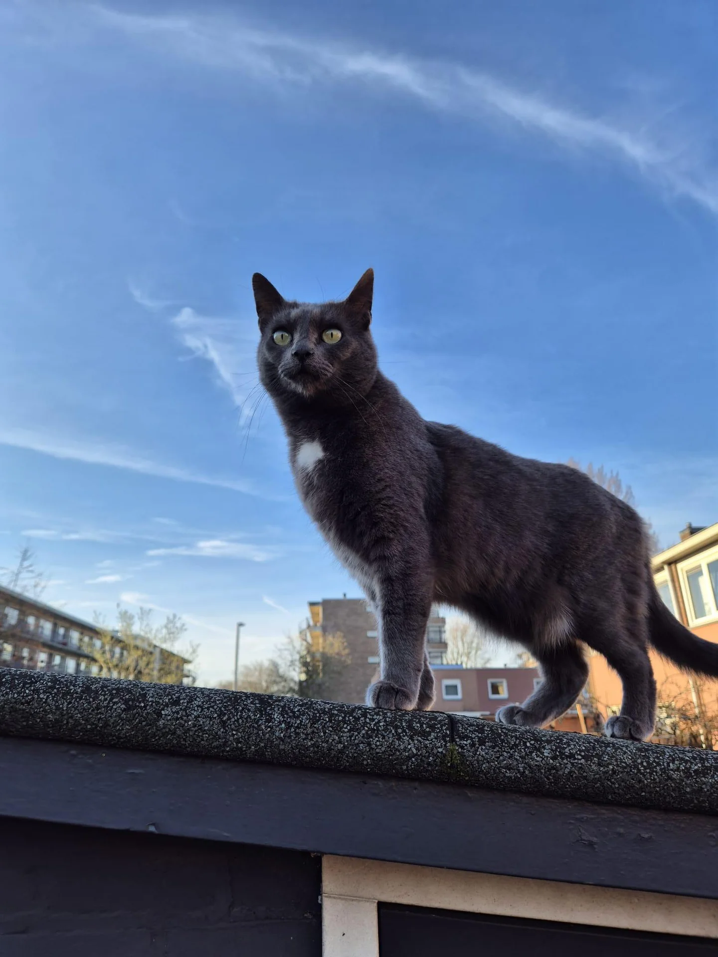 Foto van de Kamer gelegen aan de Bentelo in Rotterdam