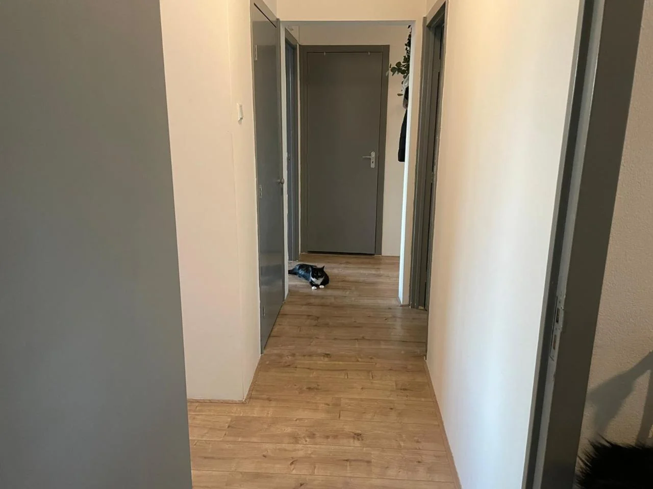 Foto van de Appartement gelegen aan de Matenalaan in Arnhem