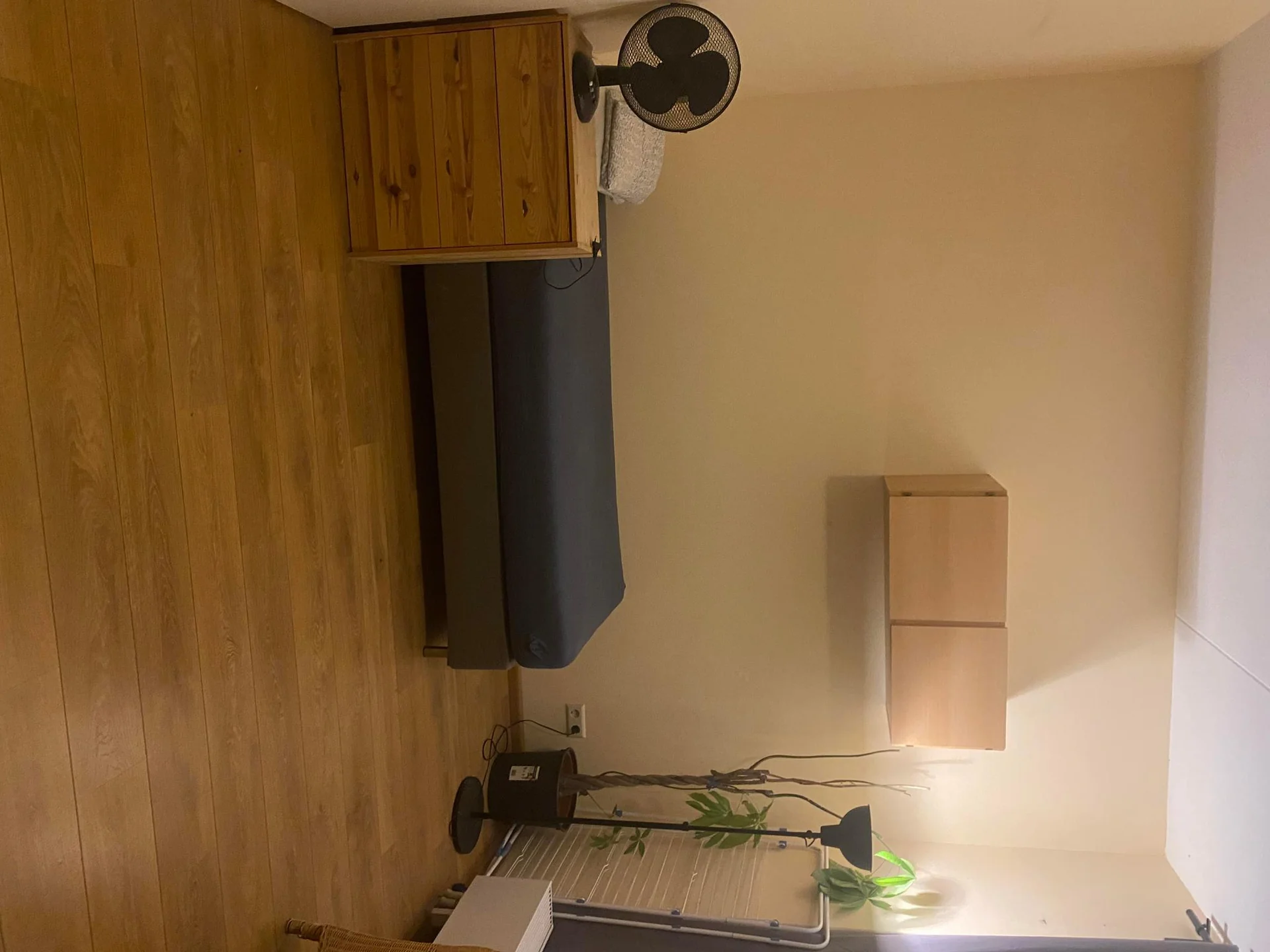 Foto van de Kamer gelegen aan de Bart Poesiatstraat in Amsterdam