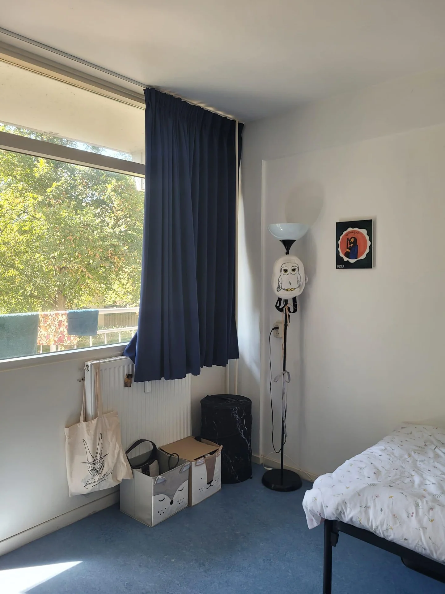 Foto van de Kamer gelegen aan de Louis Couperuslaan in Delft