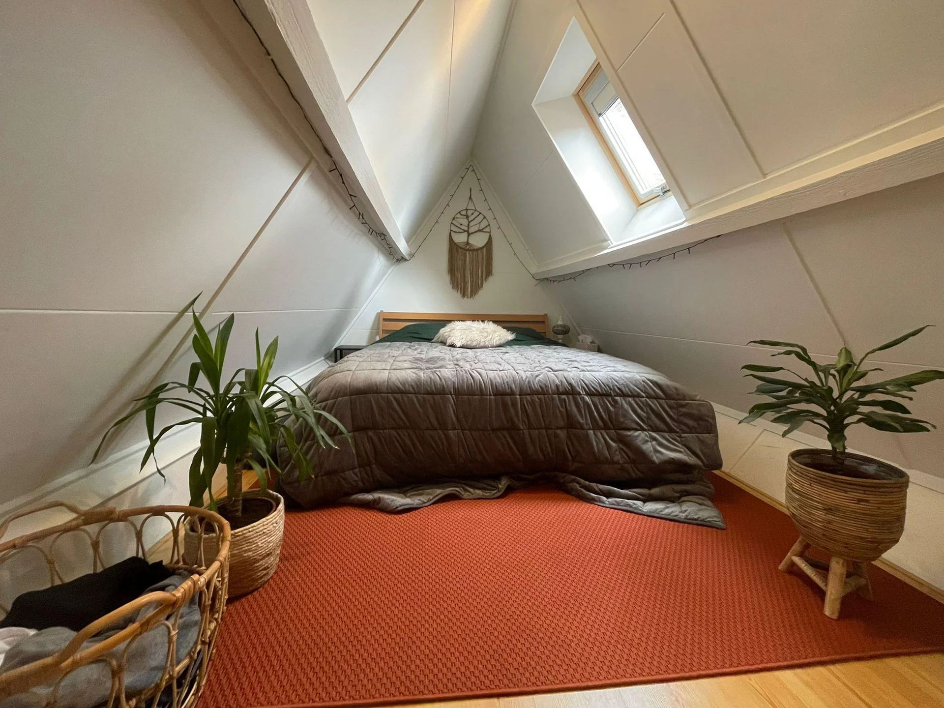 Foto van de Kamer gelegen aan de Parkweg in Groningen