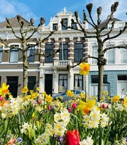 Foto van de Kamer gelegen aan de Mauritsstraat in Breda