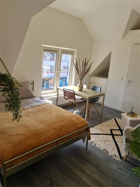 Foto van de Studio gelegen aan de B. Reigerstraat in Utrecht