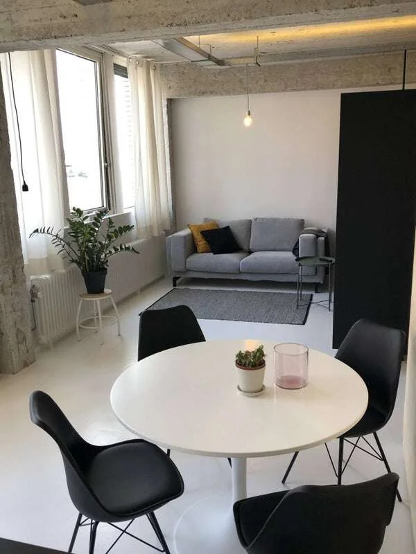Foto van de Appartement gelegen aan de Professor Pieter Willemsstraat in Maastricht