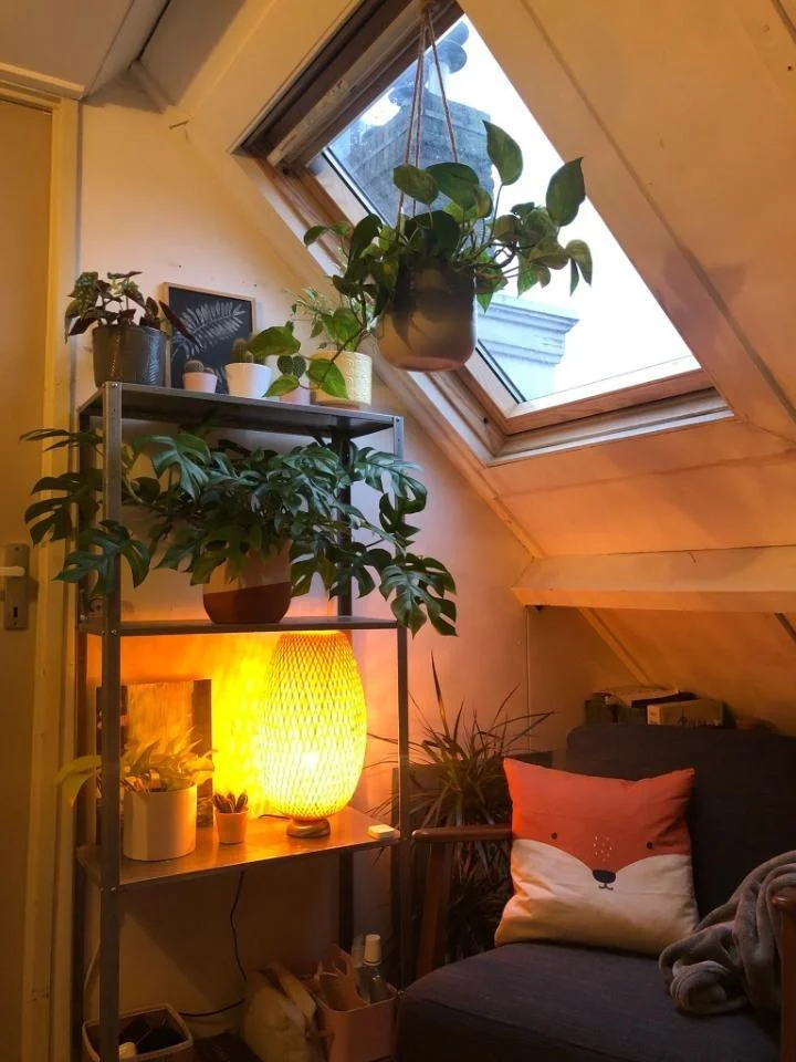 Foto van de Kamer gelegen aan de Mekkelholtsweg in Enschede