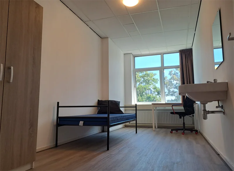 Foto van de Kamer gelegen aan de Tourniairestraat in Amsterdam