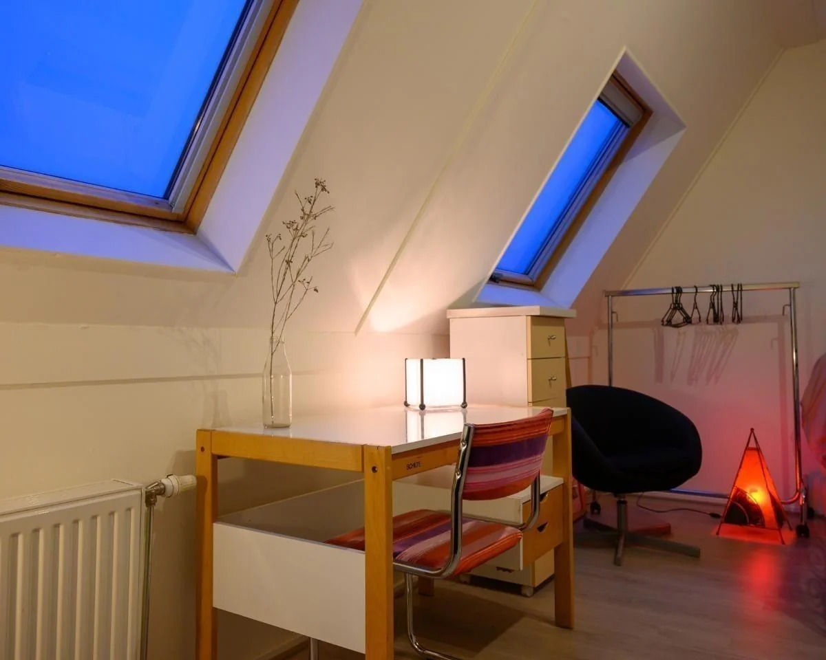 Foto van de Kamer gelegen aan de Monarchvlinderlaan in Utrecht