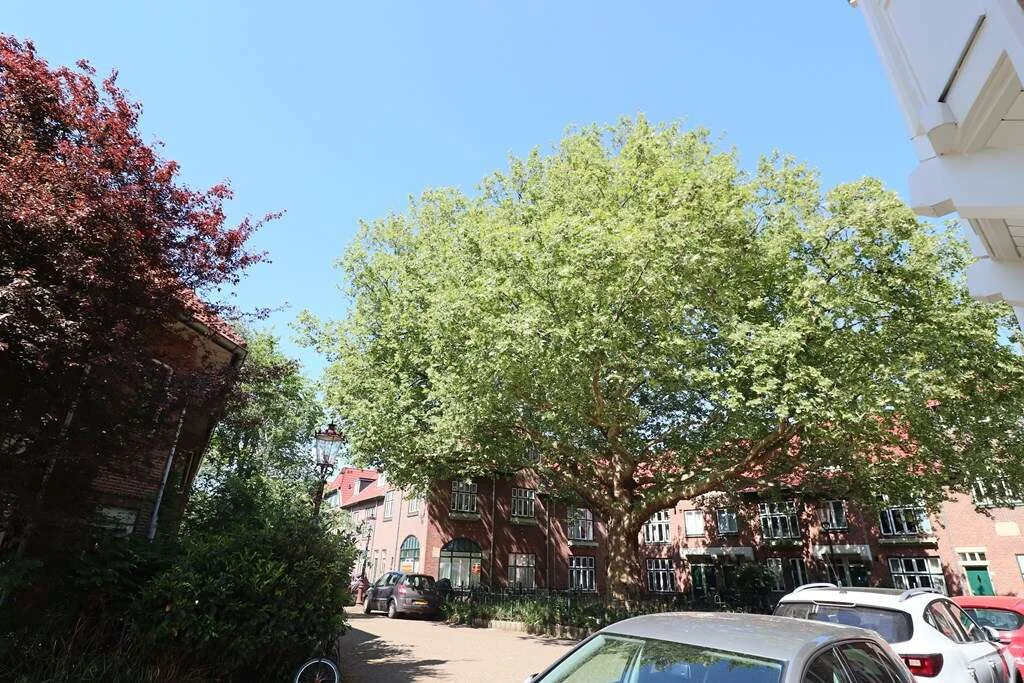 Foto van de Appartement gelegen aan de Leeuwerikstraat in Amsterdam