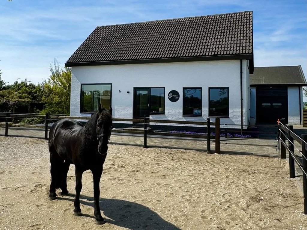 Foto van de Appartement gelegen aan de Schulpweg in Noordwijkerhout