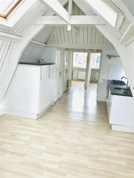 Foto van de Appartement gelegen aan de Hagestraat in Haarlem