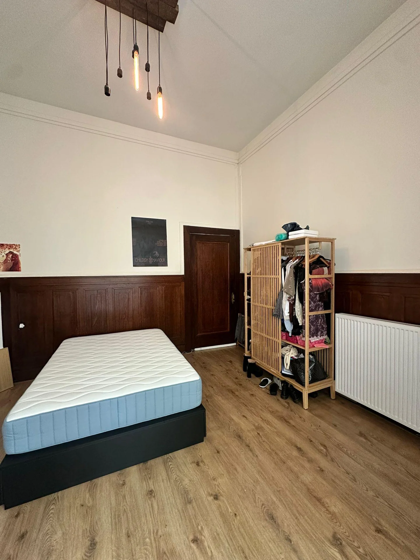 Foto van de Kamer gelegen aan de Parkstraat in Arnhem