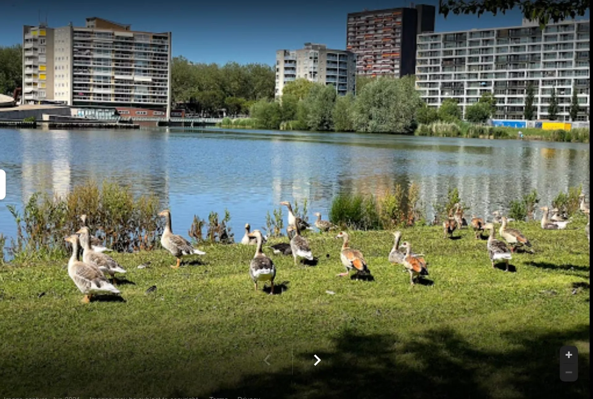 Foto van de Appartement gelegen aan de Prinsenlaan in Rotterdam