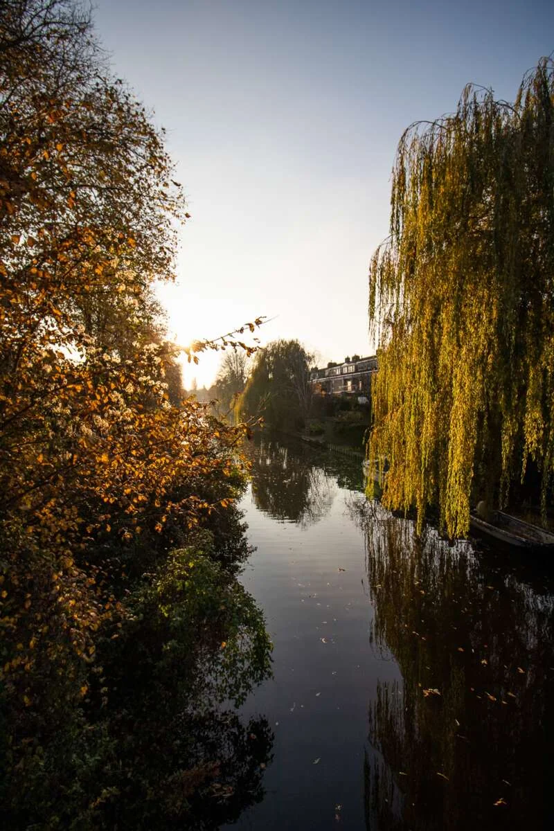 Foto van de Appartement gelegen aan de van Duivenvoordelaan in Wassenaar