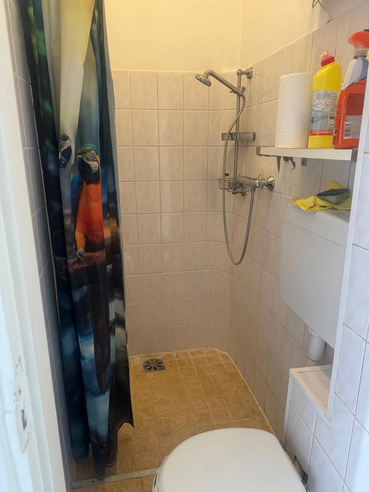 Foto van de Studio gelegen aan de Boekhorstlaan in Voorhout