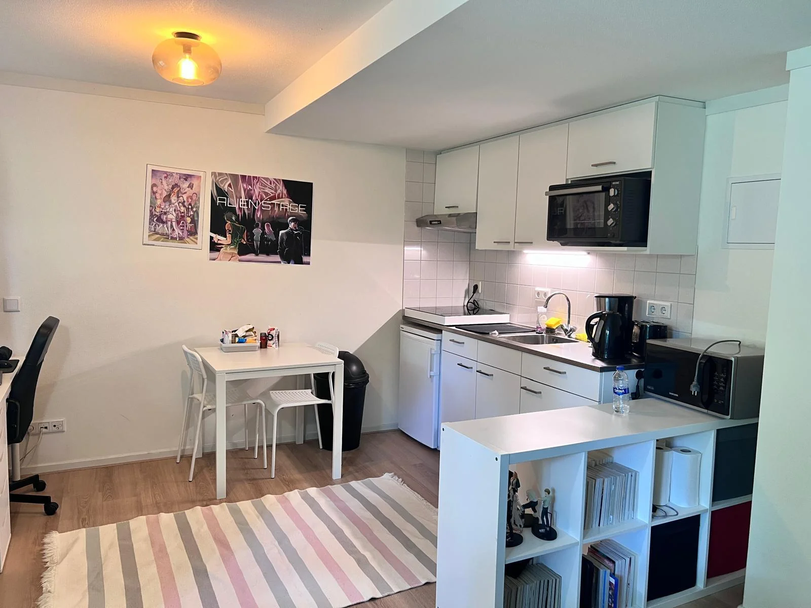 Foto van de Studio gelegen aan de Gerard van Swietenlaan in Nijmegen
