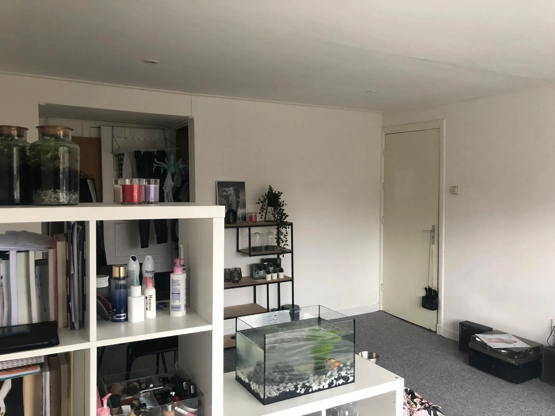 Foto van de Kamer gelegen aan de Oldenzaalsestraat in Hengelo