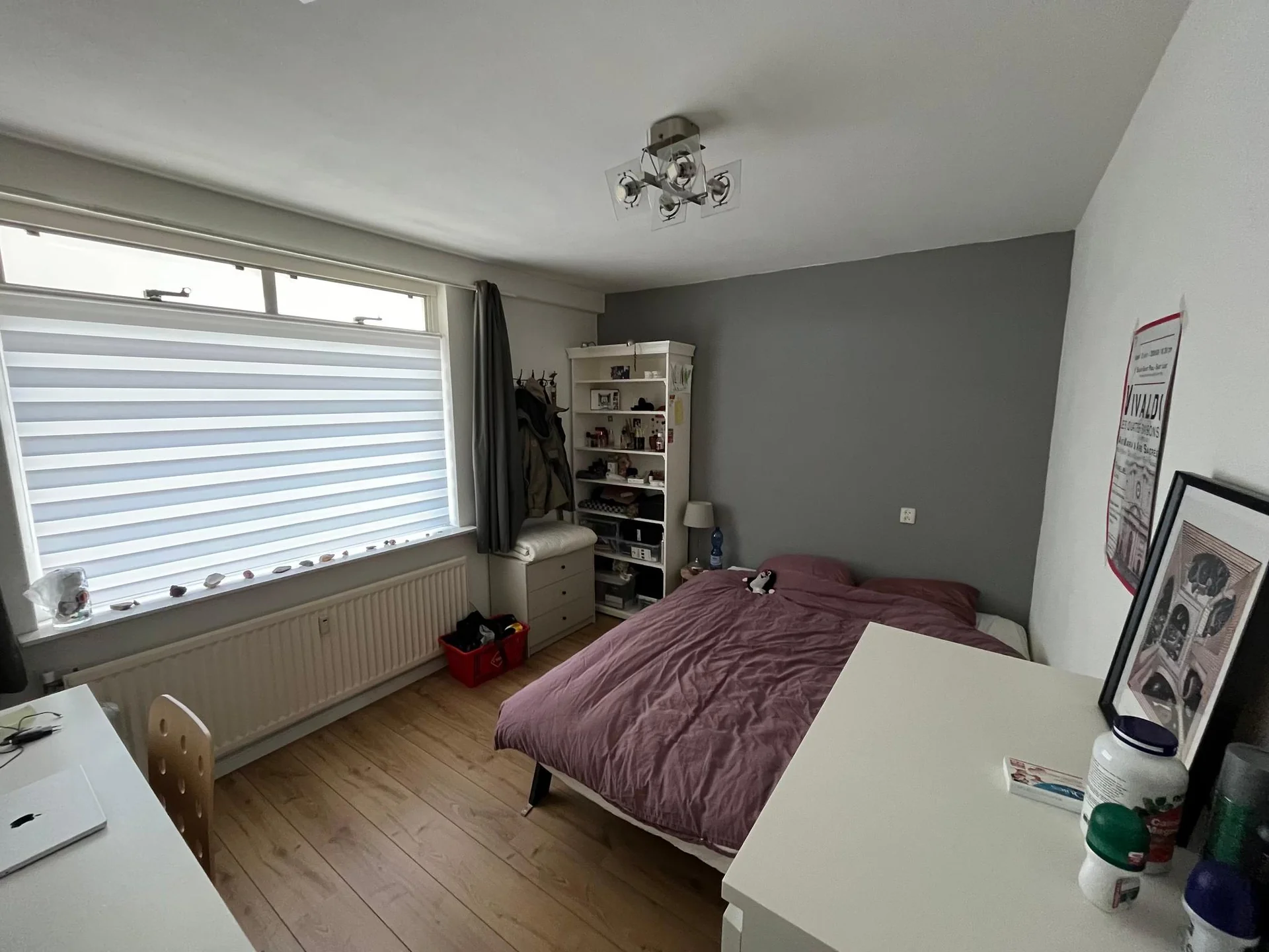 Foto van de Kamer gelegen aan de Grote Beerstraat in Groningen
