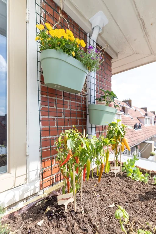 Foto van de Appartement gelegen aan de Middenweg in Amsterdam