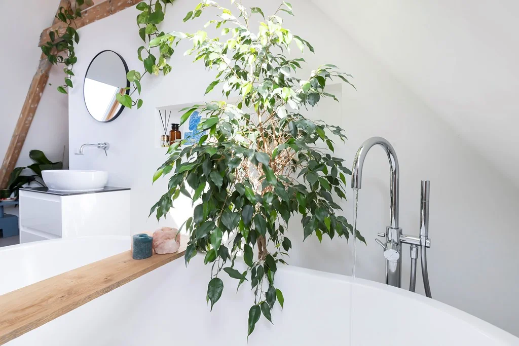 Foto van de Appartement gelegen aan de Middenweg in Amsterdam