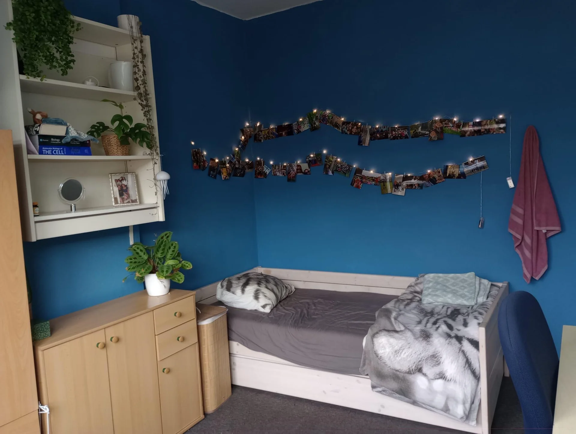 Foto van de Kamer gelegen aan de Mathijs Heugenstraat in Maastricht