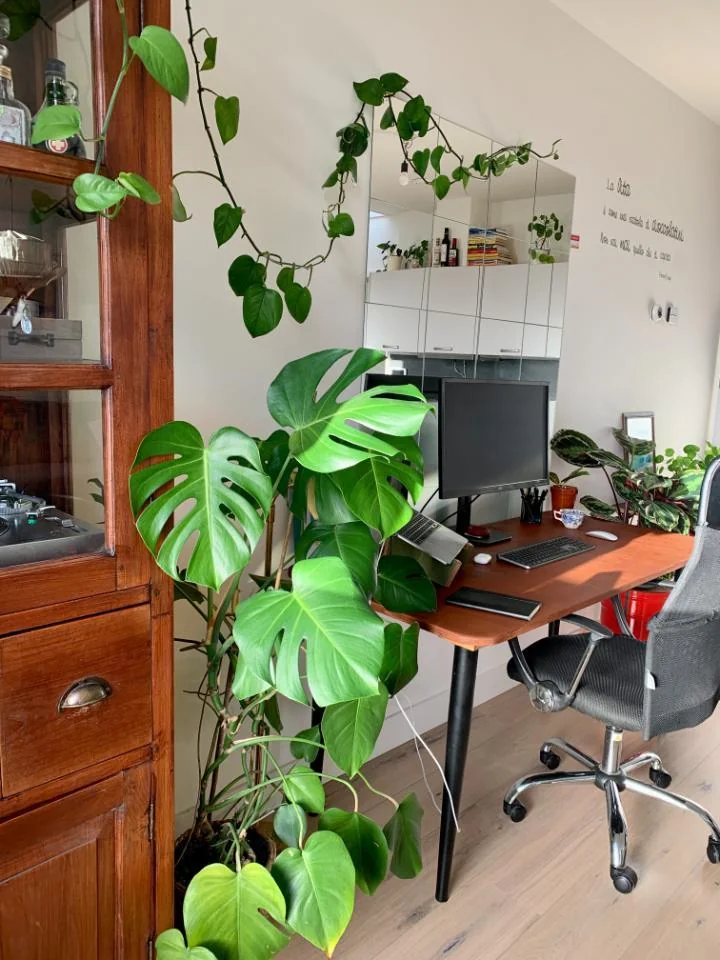 Foto van de Appartement gelegen aan de Amsterdamsestraatweg in Utrecht