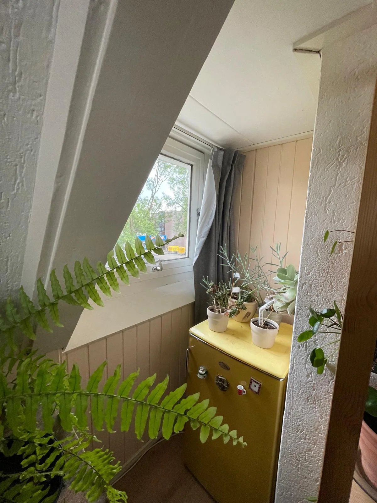 Foto van de Kamer gelegen aan de Laaressingel in Enschede