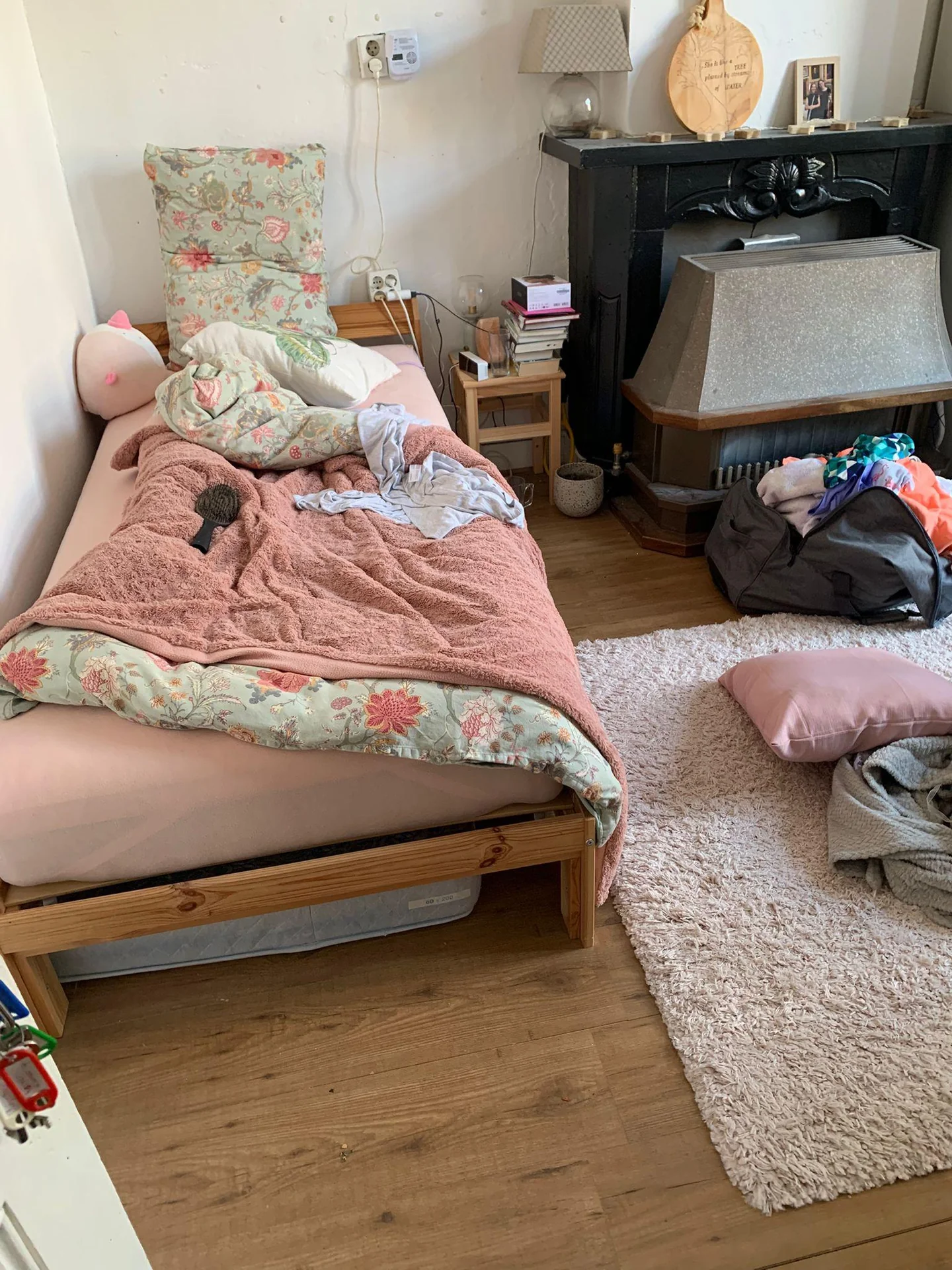 Foto van de Kamer gelegen aan de Lijsterstraat in Utrecht
