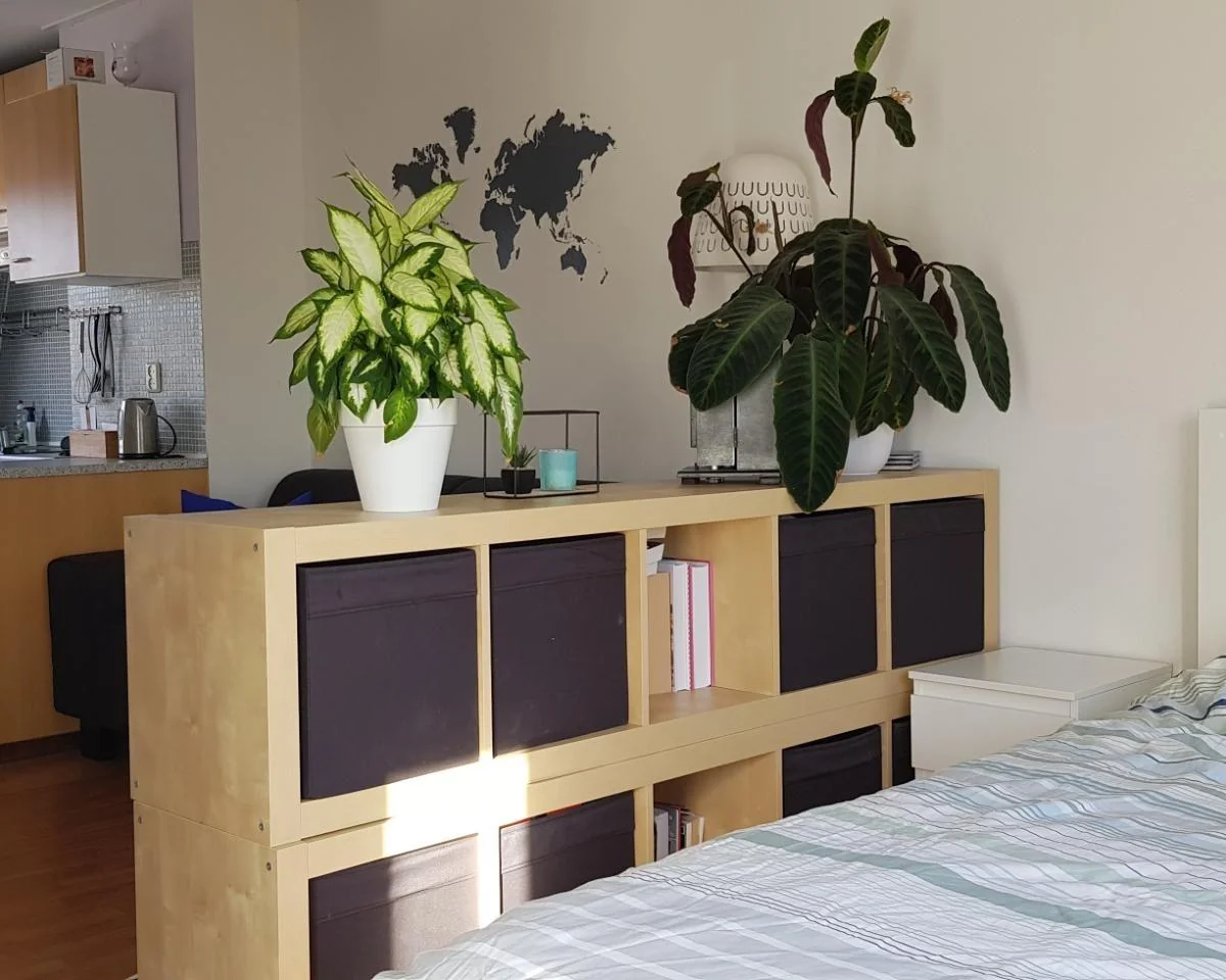 Foto van de Kamer gelegen aan de Orchideestraat in Utrecht