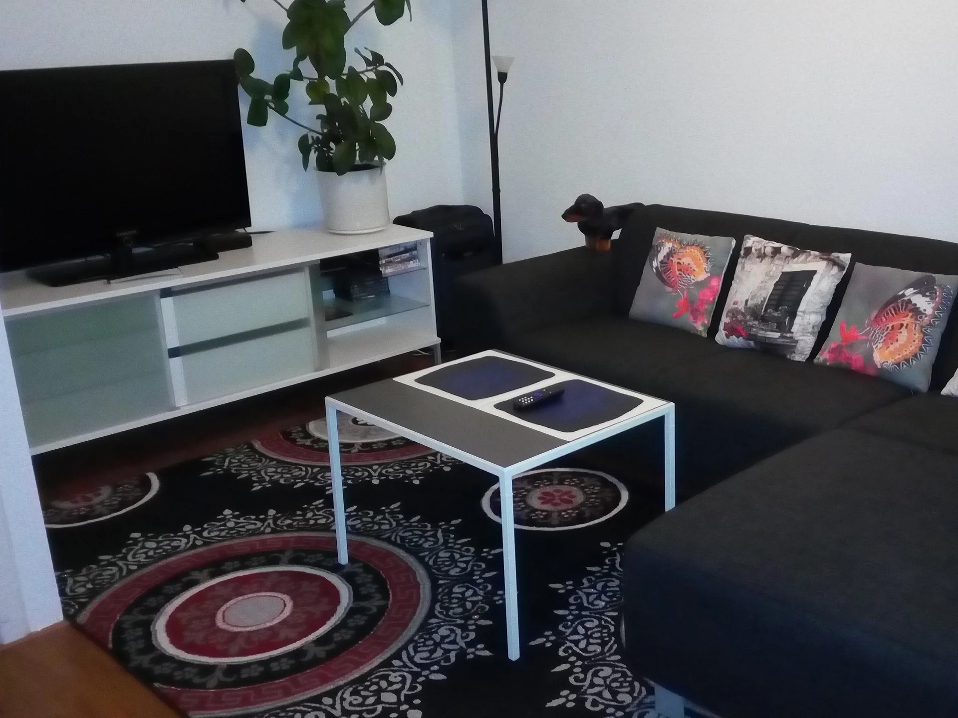 Foto van de Appartement gelegen aan de Beukelaarsstraat in Rotterdam