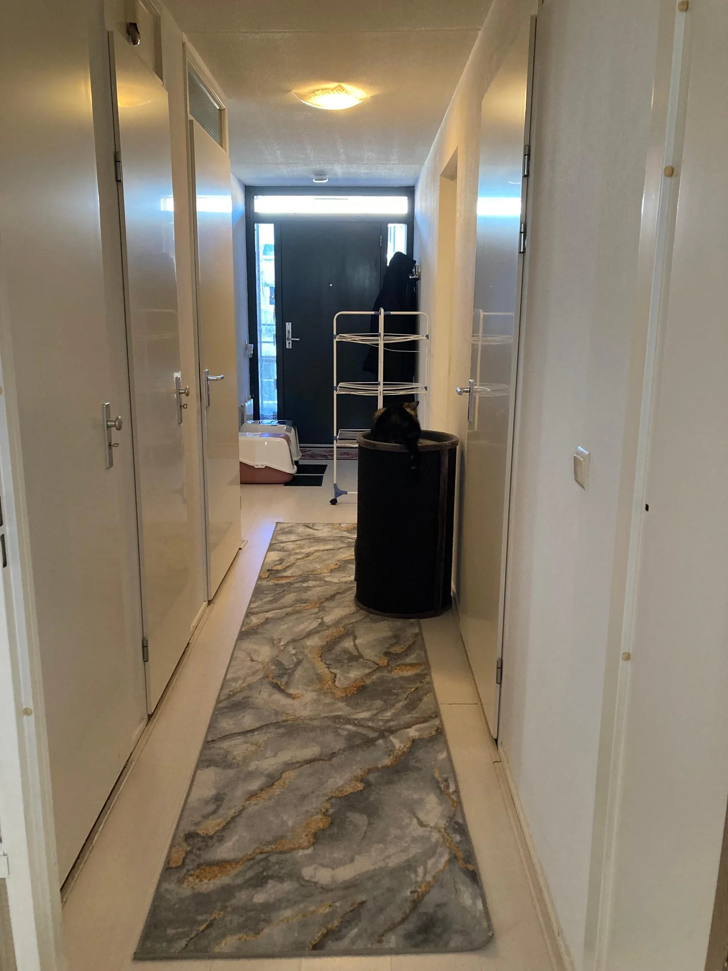 geblurde versie van de foto als achtergrond