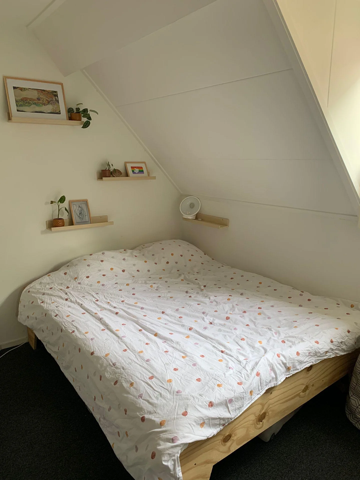 Foto van de Kamer gelegen aan de Dullertstraat in Arnhem