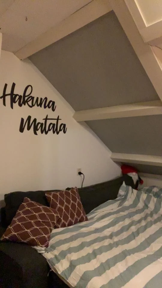 Foto van de Kamer gelegen aan de Pelleaspad in Amersfoort