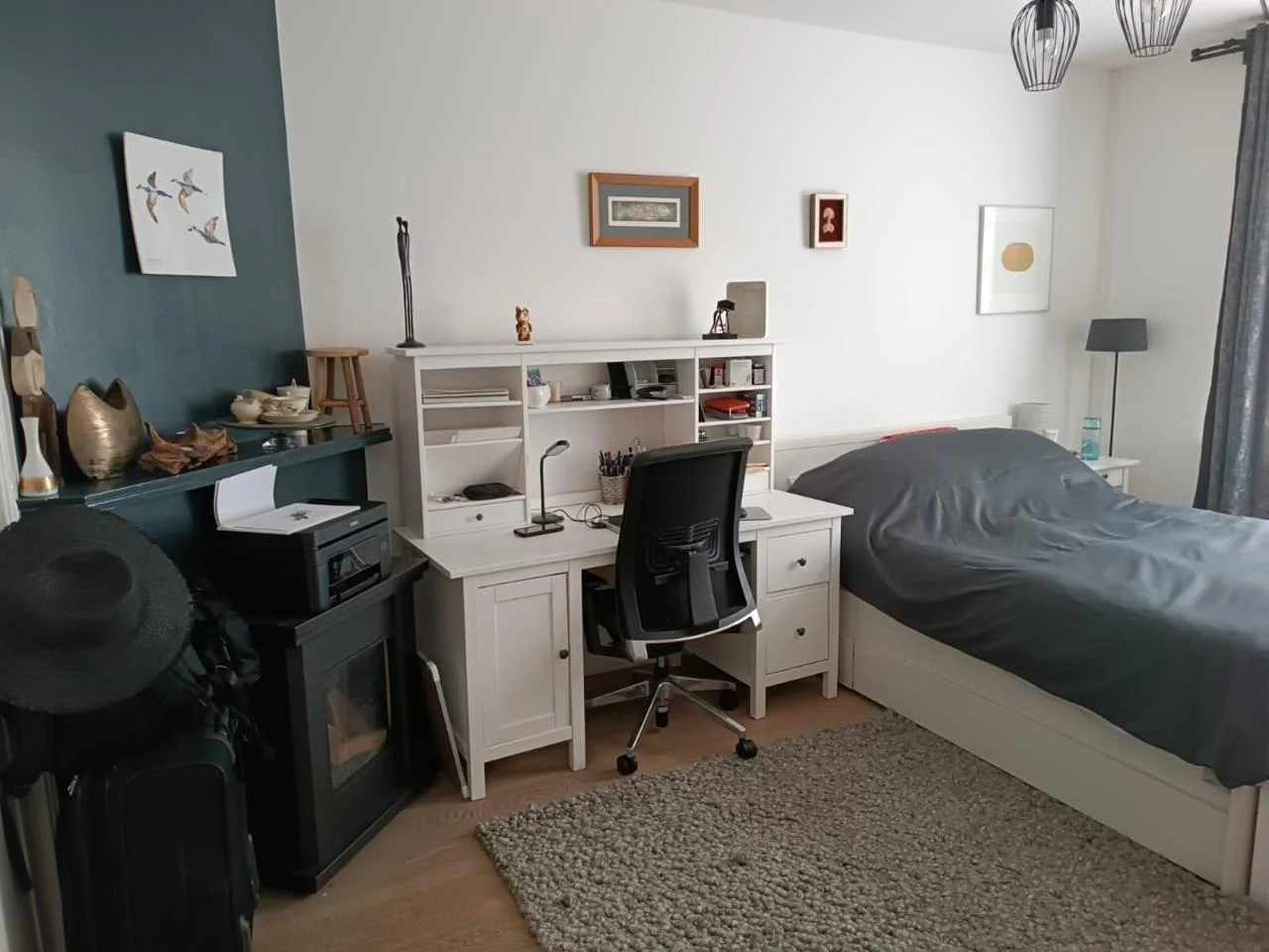 geblurde versie van de foto als achtergrond