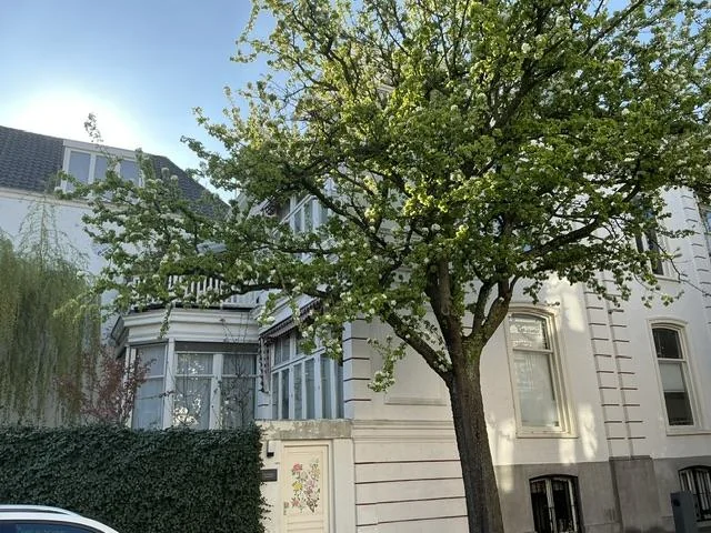 Foto van de Kamer gelegen aan de Balistraat in Den Haag
