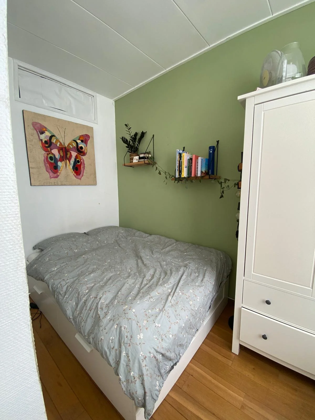 geblurde versie van de foto als achtergrond