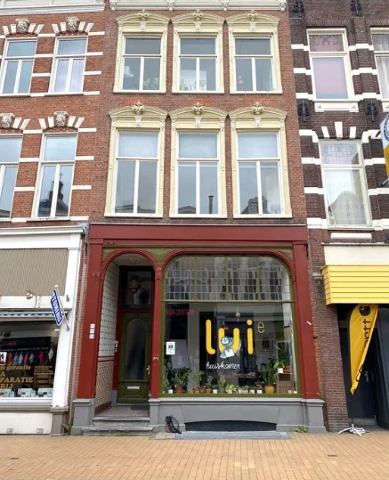 geblurde versie van de foto als achtergrond