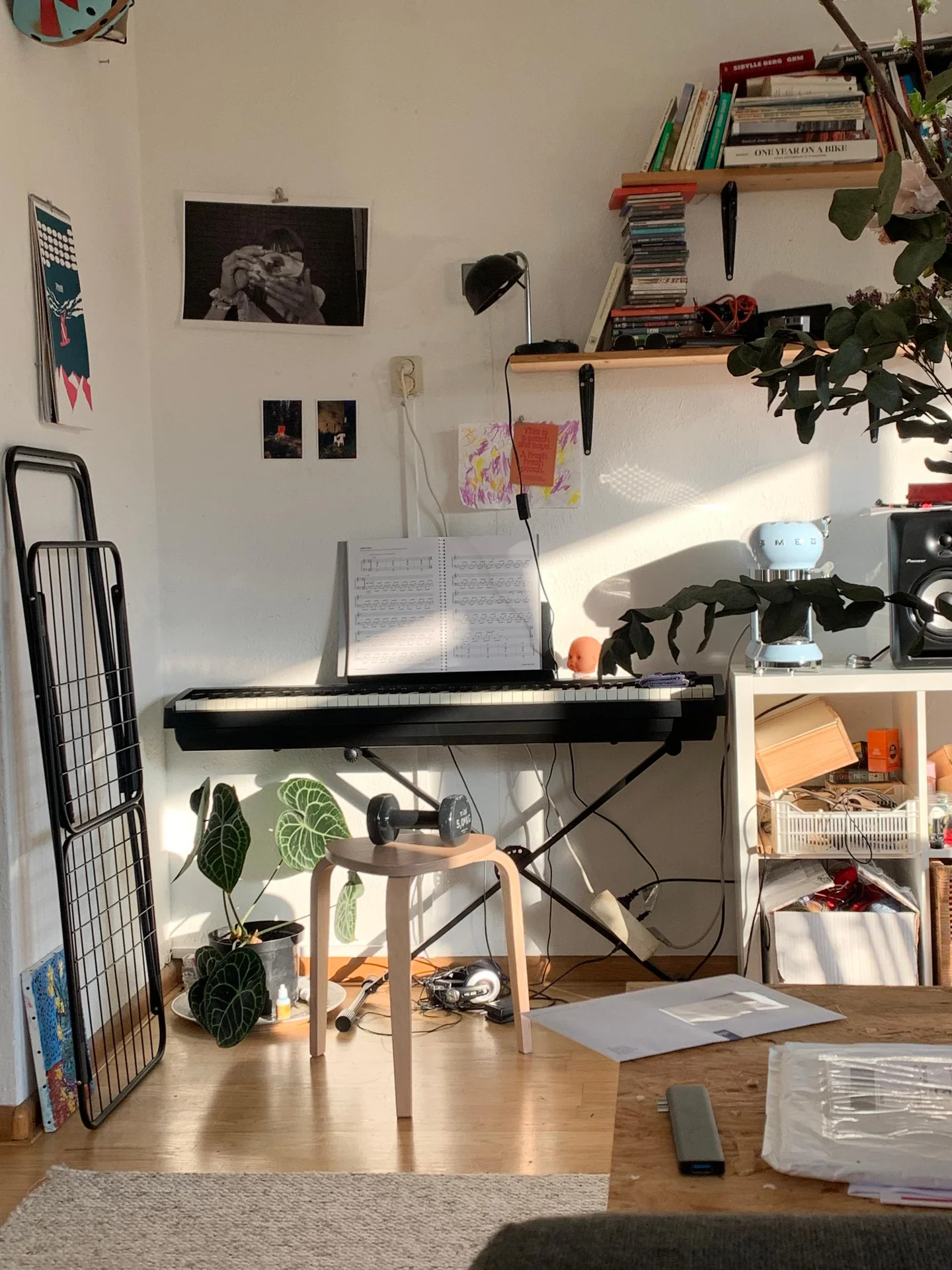 Foto van de Kamer gelegen aan de Emingaheerd in Groningen