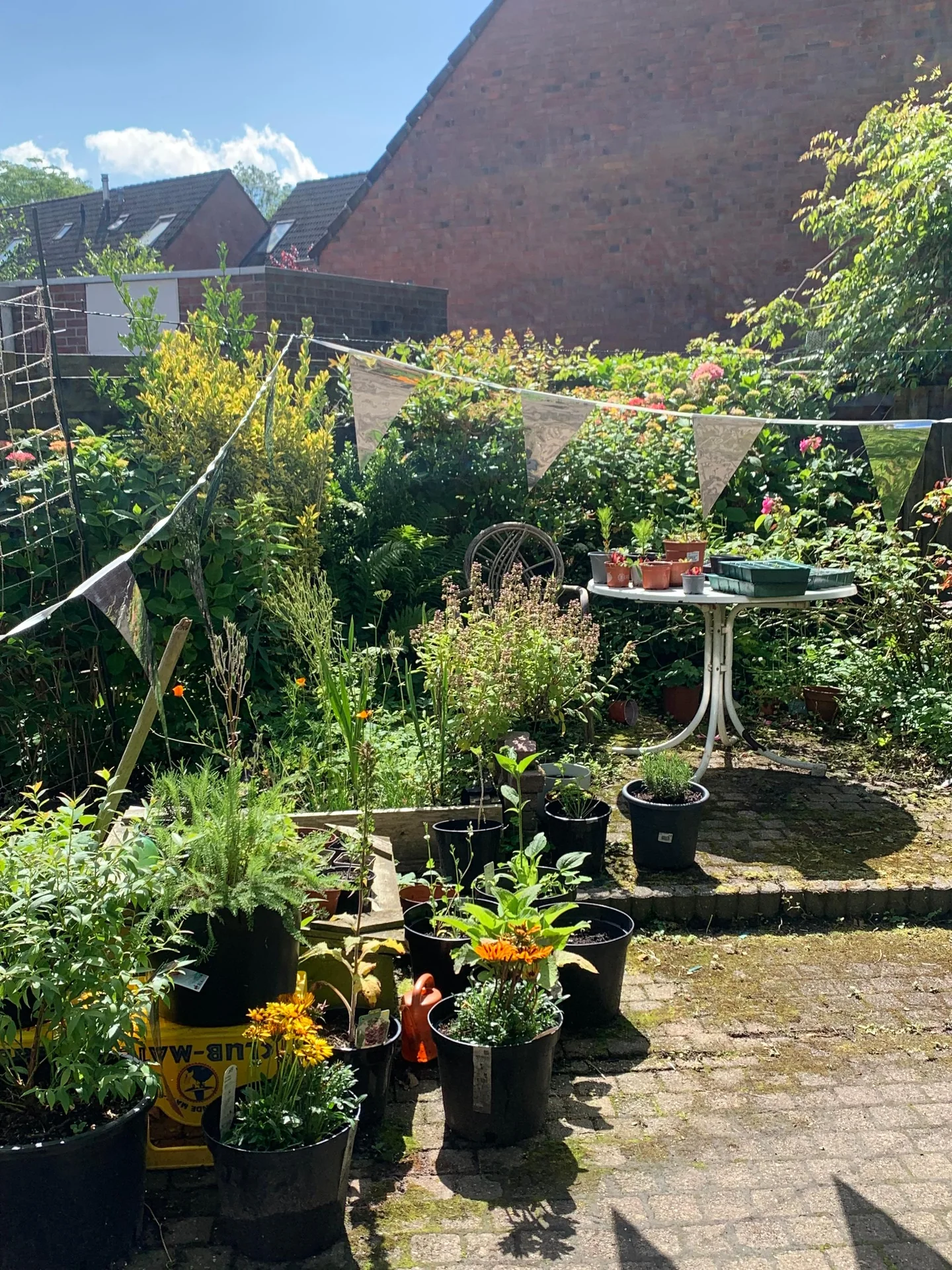 Foto van de Kamer gelegen aan de Emingaheerd in Groningen