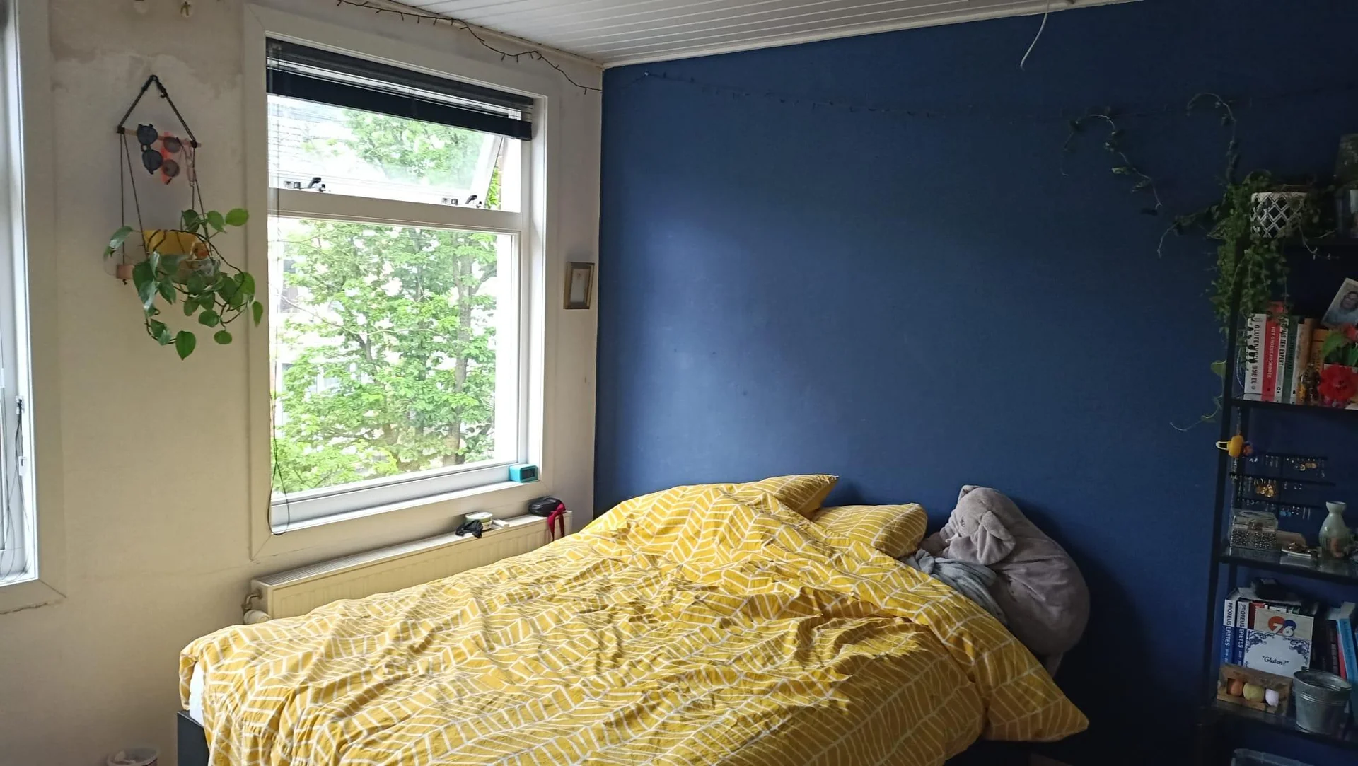 geblurde versie van de foto als achtergrond