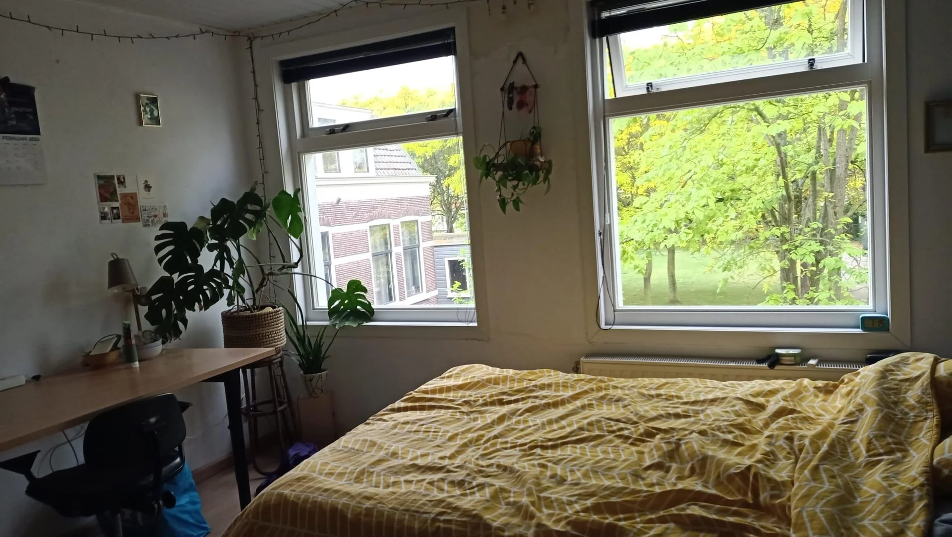 geblurde versie van de foto als achtergrond