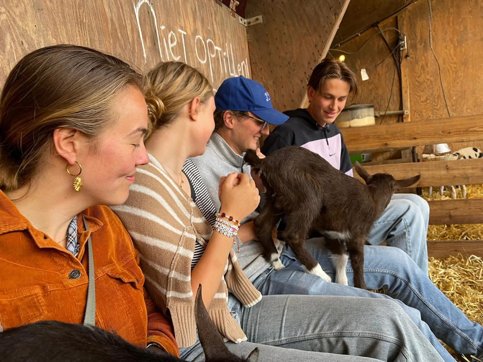 geblurde versie van de foto als achtergrond