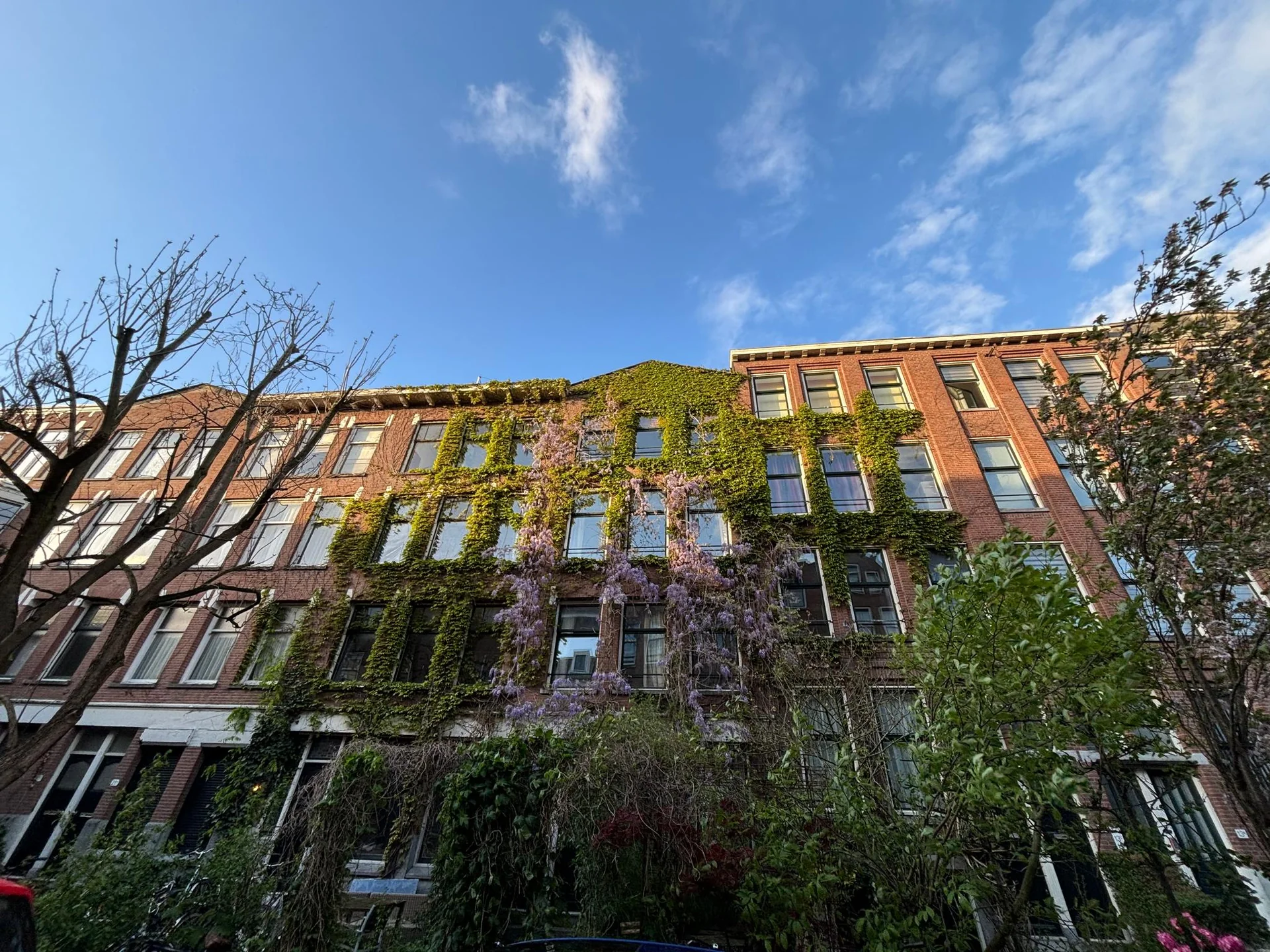 Foto van de Kamer gelegen aan de Van Weelstraat in Rotterdam