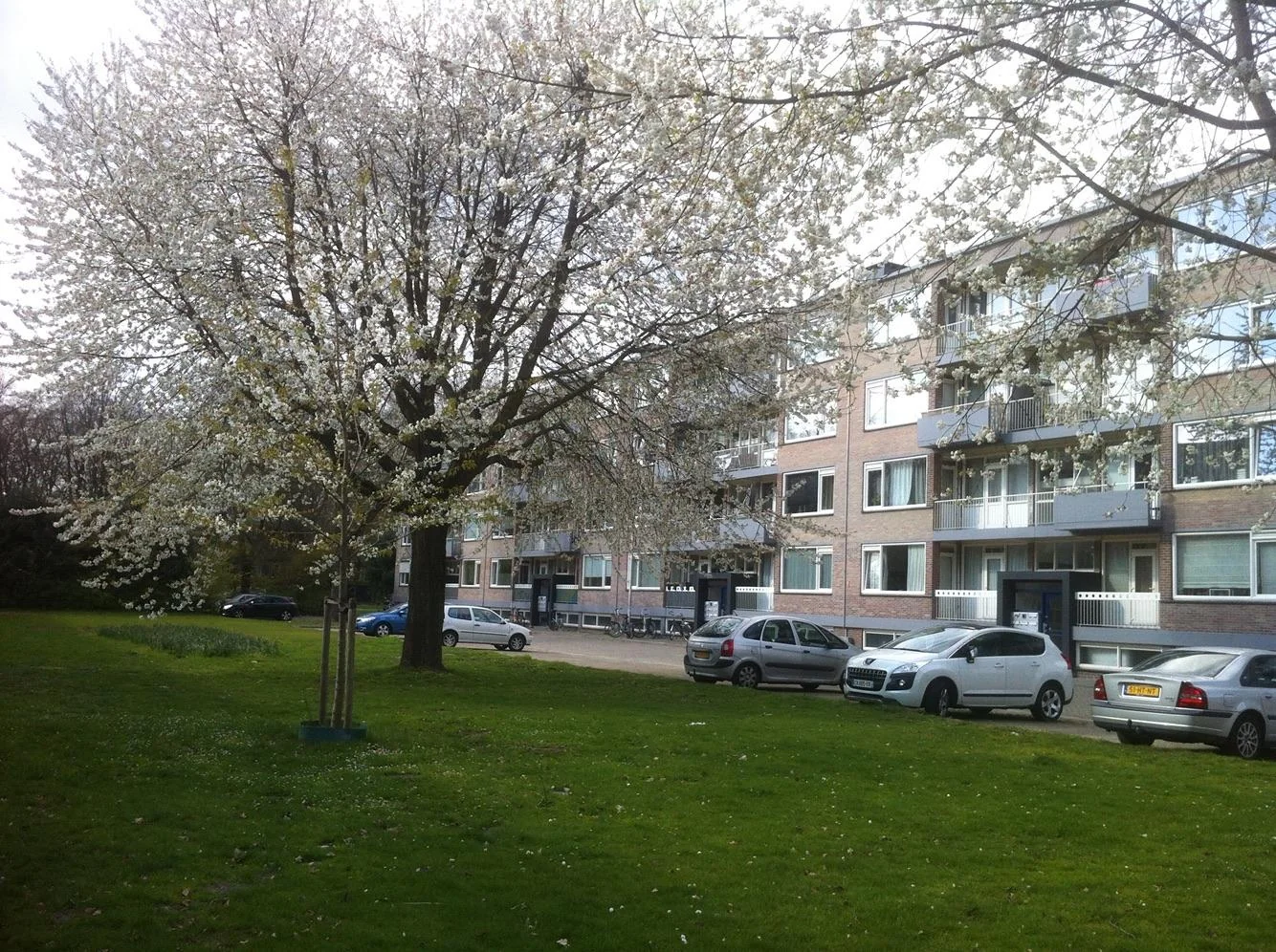 Foto van de Kamer gelegen aan de Europalaan in Tilburg