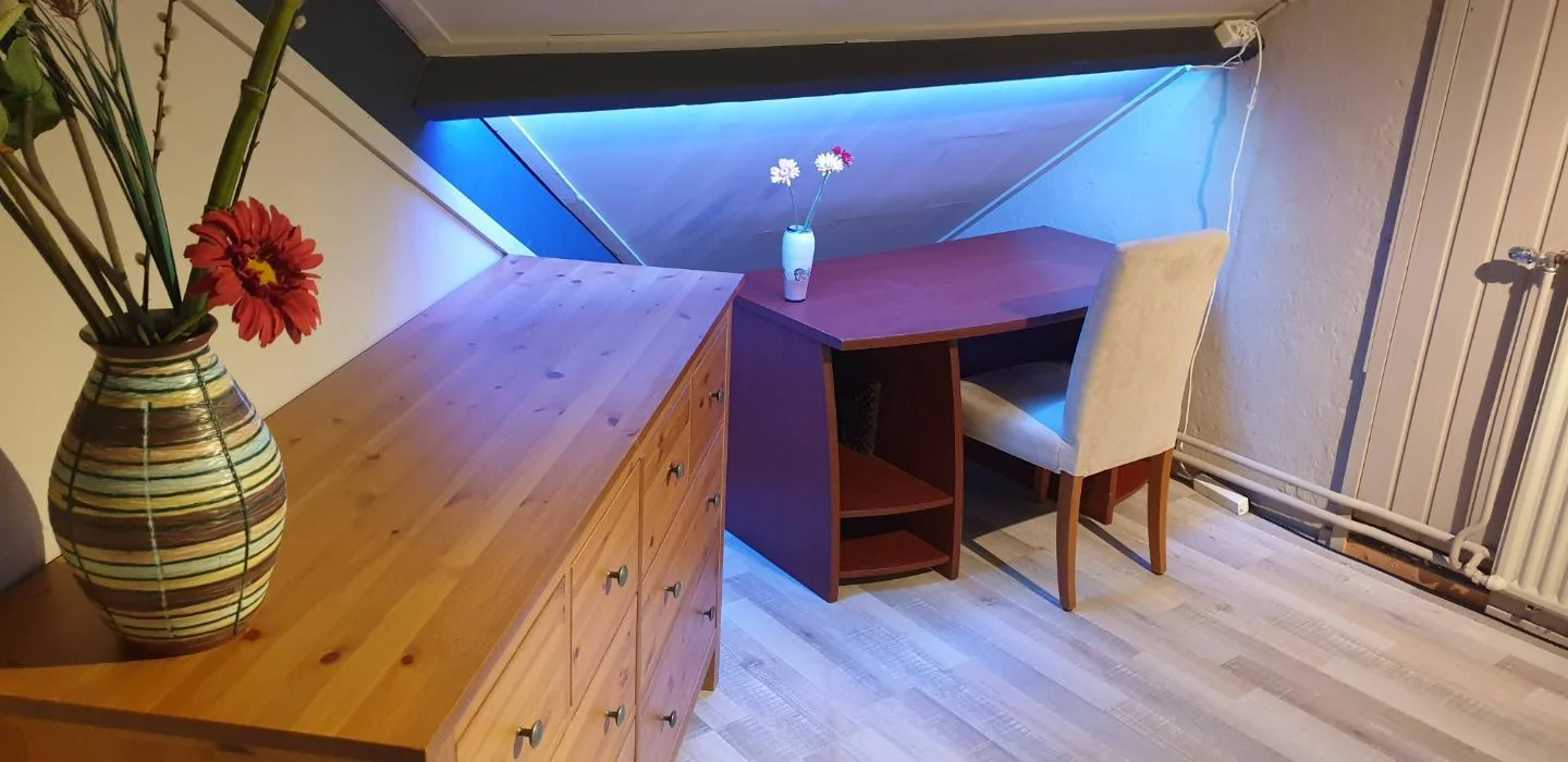 geblurde versie van de foto als achtergrond