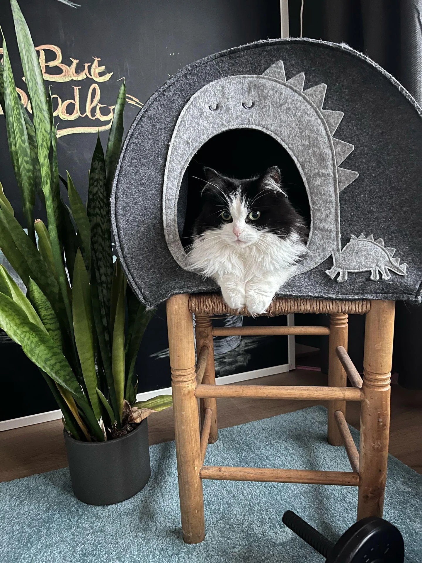 Foto van de Kamer gelegen aan de Lover in Borne